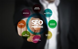 Professional seo services in india