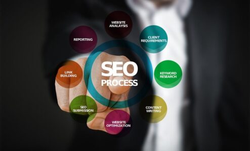 Professional Seo Services in India